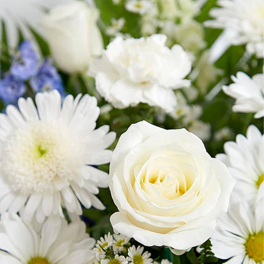 Sympathy Canasta De Piso, Fresh Flowers Orlando. Floor basket arrangement of blue delphinium; white roses, snapdragons, cremones, carnations, daisy poms and monte casino; accented with soft, lush greenery. Arreglo de canasta de piso con blue delphinium; rosas blancas, dragones, cremonas, claveles, margaritas y monte casino; decorado con vegetación en tonos verdes suaves.