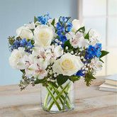 Sympathy Sentimientos Azul y Blanco, Size Medium, Fresh Flowers Orlando. All-around arrangement with white roses, carnations, and Peruvian lilies (alstroemeria); blue delphinium; baby’s breath; seeded eucalyptus, and assorted greenery Peruvian lilies may arrive in bud form and will open to full beauty in 2-3 days. Arreglo completo con rosas blancas, claveles y lirios peruanos (alstroemeria); espuela de caballero azul; la respiración del bebé; eucalipto sin semillas y vegetación variada.