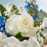 Sympathy Sentimientos Azul y Blanco, Fresh Flowers Orlando. All-around arrangement with white roses, carnations, and Peruvian lilies (alstroemeria); blue delphinium; baby’s breath; seeded eucalyptus, and assorted greenery Peruvian lilies may arrive in bud form and will open to full beauty in 2-3 days. Arreglo completo con rosas blancas, claveles y lirios peruanos (alstroemeria); espuela de caballero azul; la respiración del bebé; eucalipto sin semillas y vegetación variada.