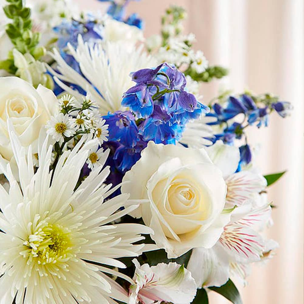 Sympathy Sincero Azul y Blanco, Fresh Flowers Orlando. Our bountiful, heavenly blue and white bouquet features a soothing mix of blue delphinium, alstroemeria, and white roses, hand-designed inside a classic clear glass vase. When sent to a service or to the home of family or friends, it makes a genuinely heartwarming gesture. Nuestro ramo de flores en azul y blanco presenta una relajante mezcla de blue delphinium, alstroemeria y rosas blancas.